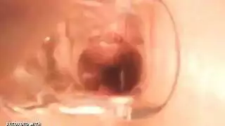 تقنيات مص ماهرة نك قضيبه الصلب