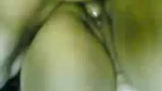 مصري ستيك حبيبته