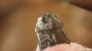 المدير ينيك موظفته النحيلة المتلهفة بعمق على مكتب المكتب