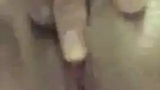 ثلاثي فاسق ينتهي بحمام منوي فوضوي